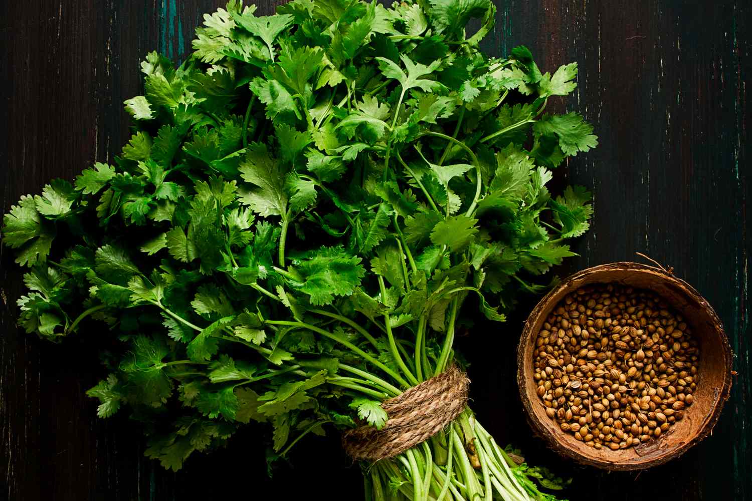 Coriander Powder An Kitchen Essential  